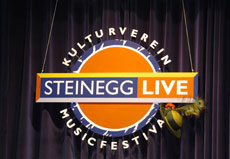 Steinegg Live Logo